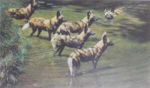 Alan Hunt (b.1947). Twelve signed limited edition prints, titled Who's The Fairest of them All?,... - 16