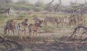 Alan Hunt (b.1947). Twelve signed limited edition prints, titled Who's The Fairest of them All?,... - 17