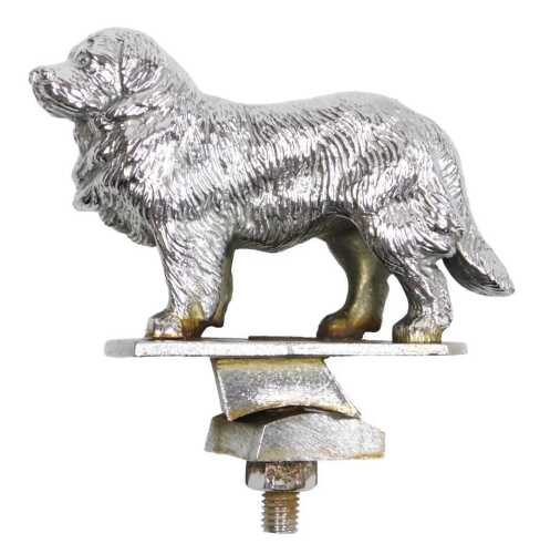 A chrome plated car mascot of a St Bernard dog, 10cm high overall.