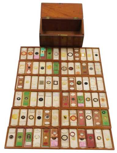 Seventy-two late 19thC microscope slides, containing botanical samples, in a mahogany twelve...