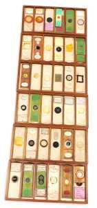 Seventy-two late 19thC microscope slides, containing botanical samples, in a mahogany twelve... - 3