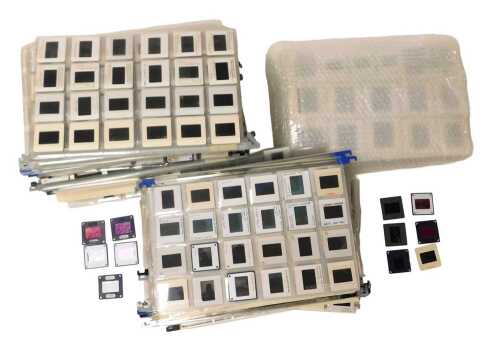 A quantity of photographs slides taken by Peter Wilson M.A A.R.P.S, each showing botanic...