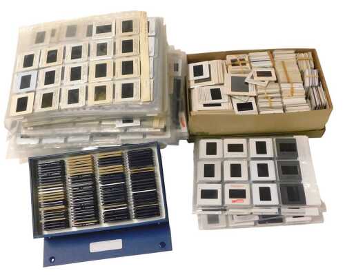 A quantity of photographic slides taken by Peter Wilson M.A. A.R.P.S, each showing specimen...