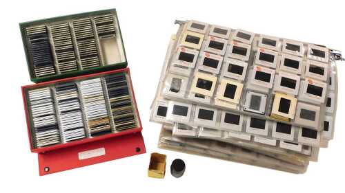 A quantity of photographic slides taken by Peter Wilson M.A. A.R.P.S, each depicting birds to...