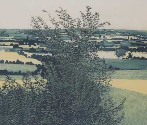 Phil Greenwood (20thC School). Green Vale, artist proof print, signed and dated 73, 43cm x 38cm.