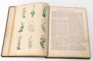 Culpeper (Nicholas). The Complete Herbal, with the English Physician Enlarged, new edition, half... - 3