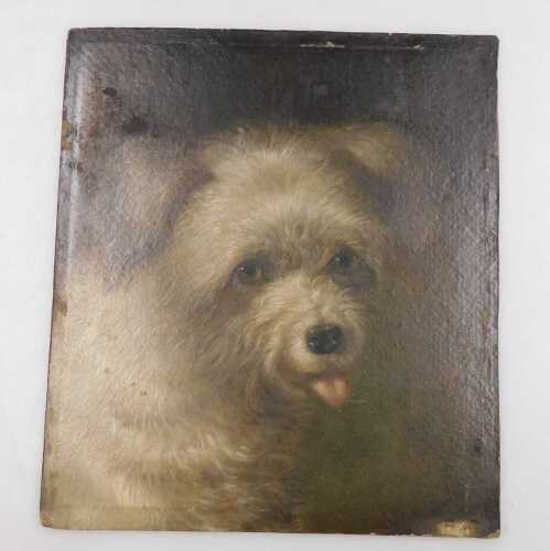 Martin Theodore WARD (1799-1874). Dog's Head, oil on board, attributed and titled verso, on a...