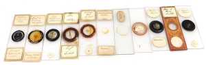A box of late 19thC microscope slides, with botanical and other specimens. - 3