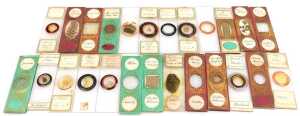 A box of late 19thC microscope slides, with botanical and other specimens. - 4