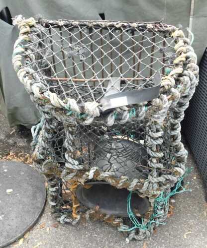 A large crayfish net.