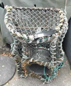 A large crayfish net.