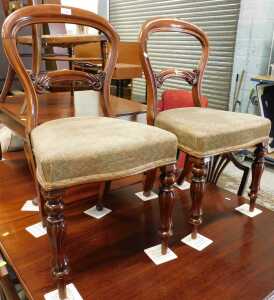 A pair of Victorian mahogany balloon back dining chairs, each with overstuffed seats, in later...