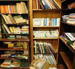 Various books, videos, DVDs, etc., painting, cricket, The Cricketer's Who's Who, various Wisden...