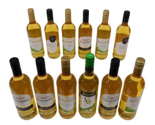 A bottle of Echo Falls Californian white wine, another similar, other bottles to include Cape...