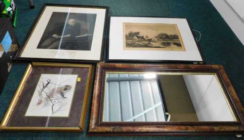 Framed pictures and prints, to include wildlife, together with a mirror.
