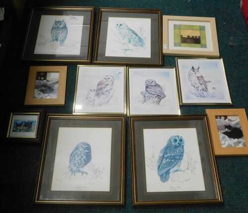 Various framed pictures and prints, to include owls, cats, etc. (a quantity)
