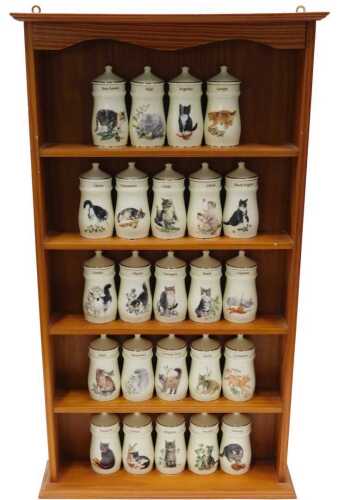 A group of Lesley Anne Ivory spice jars, transfer printed with kittens, to include cumin, 13cm...