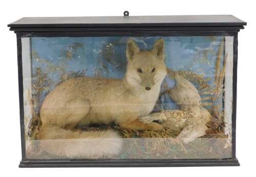 A taxidermied fox with bird, the case 54cm x 84cm.