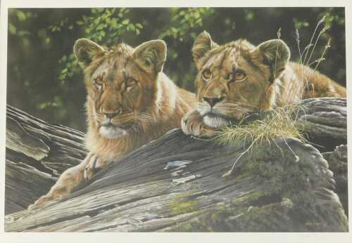 Steve Burgess (b.1960). The Young Pretenders, artist signed limited edition print number 28/395,...