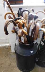 V - Various walking sticks, contained in an early 20thC milk churn, with fixed handles, 58cm high....