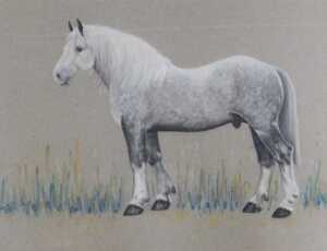 A group of equine interest pictures, comprising a pastel study of a dapple grey horse,... - 5