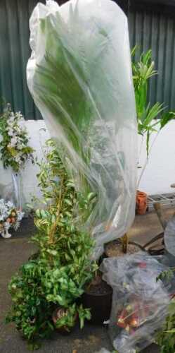 Artificial plants, to include bamboo in differing sized pots together with other smaller...
