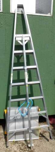 A Lyte tripod ladder, together with a Youngman Oddjob 600 step. (2)