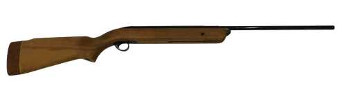 A BSA Mercury .22 calibre air rifle. 
A photographic identity document, either a passport or a...