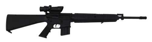 A BB gun with top mounted Bushnell trophy scope. 
A photographic identity document, either a...