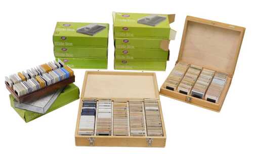 Various slides, a box containing a quantity of slides, another large quantity of slide boxes...
