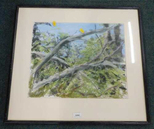 Noreen Grant (b.1948). Tree Branches, pastel on paper, signed and dated 3.6.89, further...