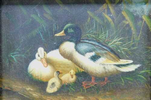 20thC School. Ducks and ducklings in a clearing, oil on board, unsigned, 13cm x 18cm, the...