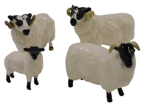 Various Beswick pottery sheep, black faced ram, 8cm high, various others, etc., lamb, etc. (4)