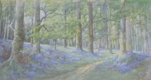 Beatrice Bullock (1878-1953). Woodland landscape, bluebells before trees, watercolour, signed,...