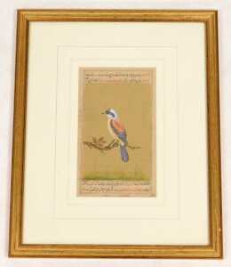 Indian School (19thC). A red backed shrike, perched on a branch, with calligraphy above and... - 2