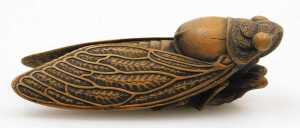 A Meiji period Japanese carved boxwood okimono of a cicada, signed Harumitsu to the underside,... - 4