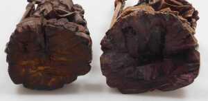 A group of 19thC and later Chinese hardwood figures, including Guanyin, Guan Yu, Shou Lao, and... - 7