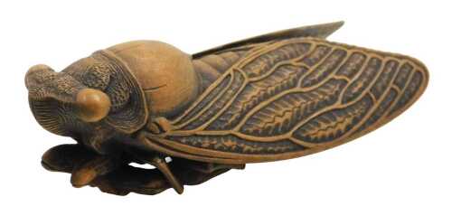 A Meiji period Japanese carved boxwood okimono of a cicada, signed Harumitsu to the underside,...