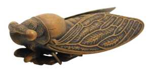 A Meiji period Japanese carved boxwood okimono of a cicada, signed Harumitsu to the underside,...