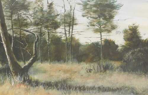 Paul Kemp (British b1969). Woodland scene, watercolour, signed, 34cm x 51cm.