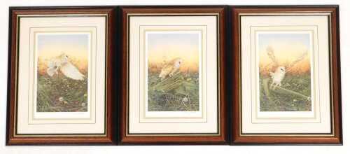 John R Morris (late 20thC). Studies of barn owls, limited edition prints 127/500, signed, Studio...