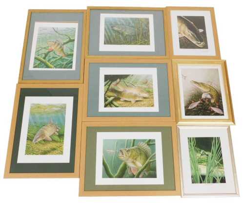 Christopher Turnbull (British early 21stC). Studies of fish in rivers, five prints, some signed...