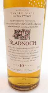 A bottle of Bladnoch Lowland single malt scotch whisky, aged 10 years, in a fitted box. - 2