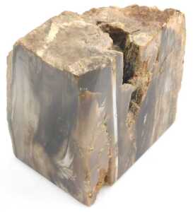 An ashtray formed from petrified wood, 33cm wide, and a pair of bookends, each approx 15cm high,... - 2