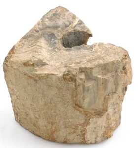 An ashtray formed from petrified wood, 33cm wide, and a pair of bookends, each approx 15cm high,... - 3