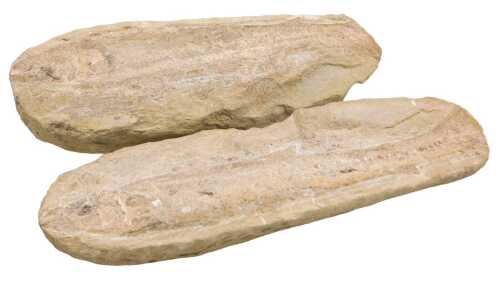 A fossilised fish, 29cm long, in two parts.