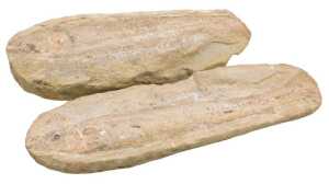 A fossilised fish, 29cm long, in two parts.