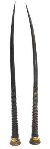 A pair of Oryx horns, mounted in circular brass stands, 82cm and 83cm high.