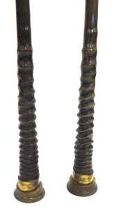 A pair of Oryx horns, mounted in circular brass stands, 82cm and 83cm high. - 2