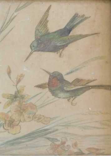 20thC School. Study of birds, watercolour, 23cm x 17cm. Offsite Sale - Buying & Collecting Notes:...
